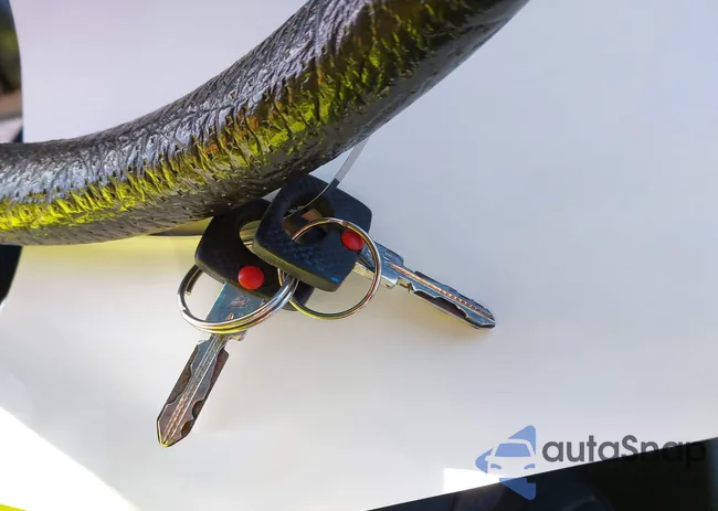 WDBCA32C0FA101365: 44181861