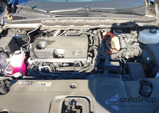 2T2BBMCA2PC010460: 44181874