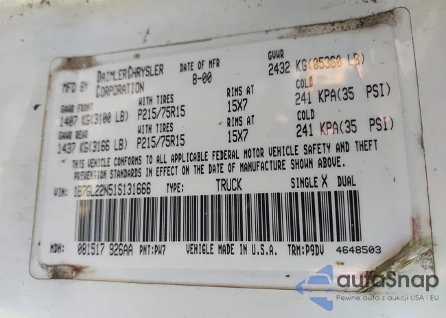 1B7GL22N51S131666: 44181917