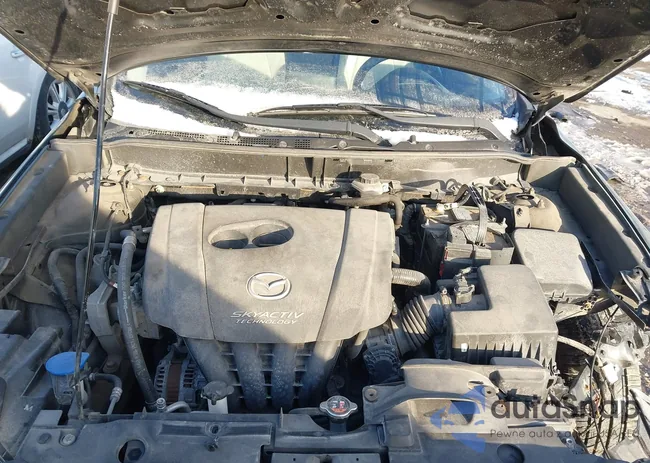 JM1DKFD70H0166892: 44182474