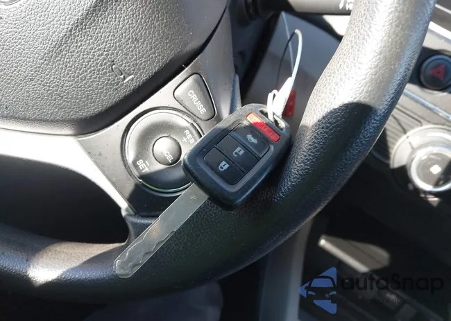 2HGFB2F50FH509952: 44182743