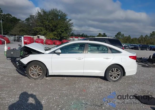 5NPE24AF8GH294416: 44182225