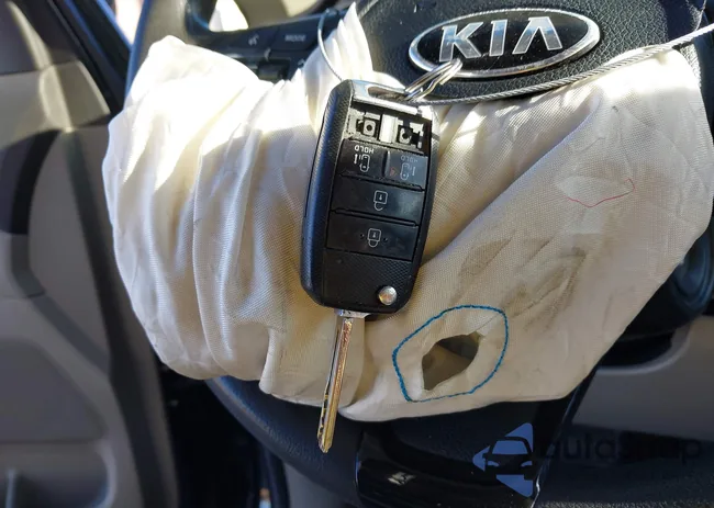 KNDMB5C19F6070678: 44182397