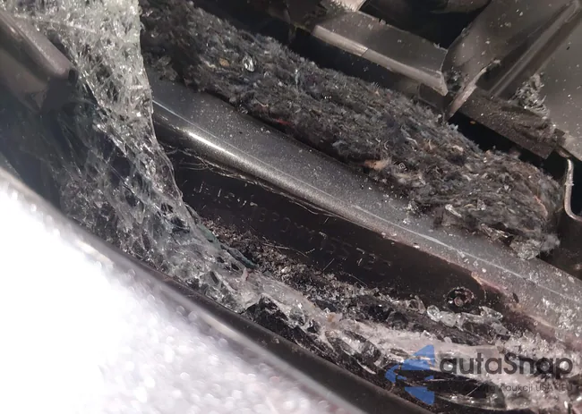 JN1EV7BR0MM755730: 44183431