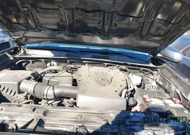 3TMCZ5AN8KM231111: 44183552