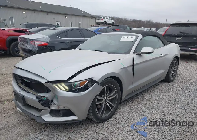 1FATP8UH4G5300036: 44183715