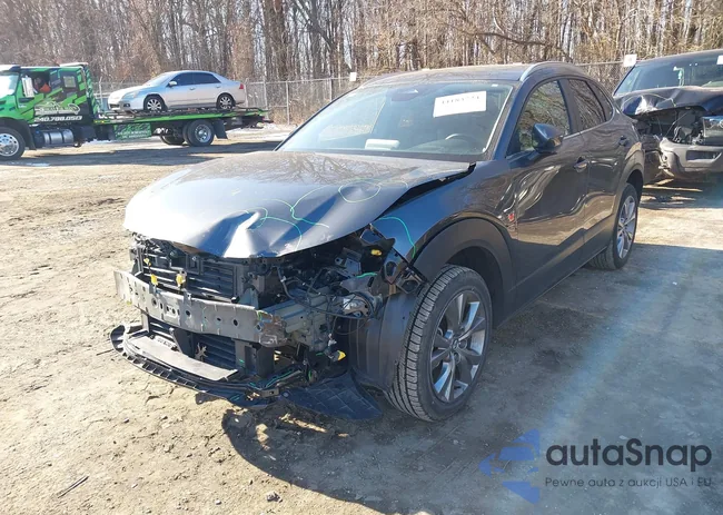 3MVDMBCM5RM601557: 44183724