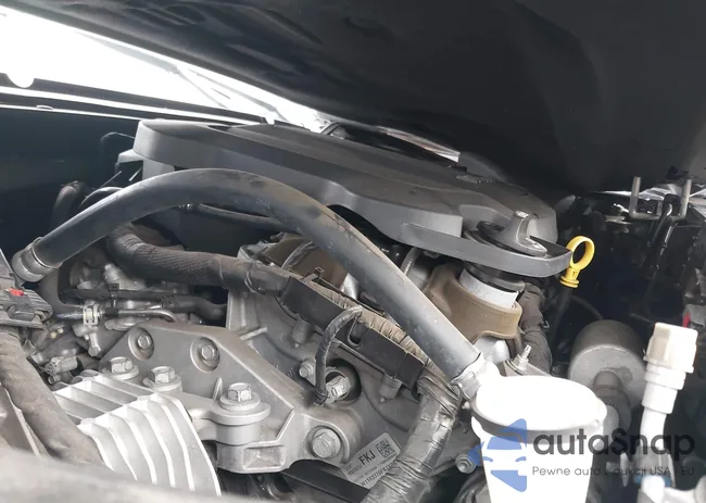 1G4ZP5SS7HU175439: 44183899