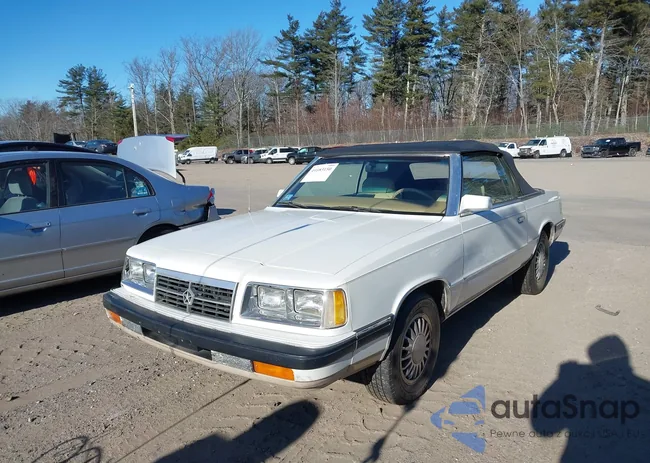 1B3BV55K3GG224917: 44183150