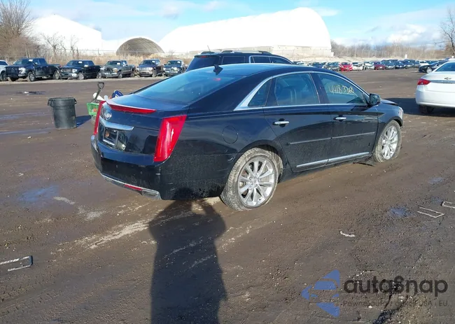 2G61T5S34D9131589: 44183368