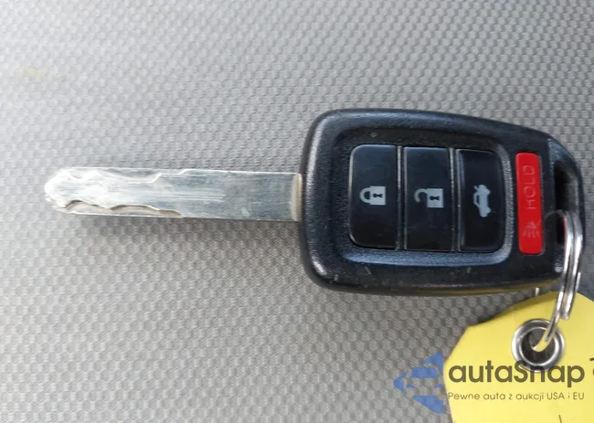 19XFB2F59EE242738: 44184427