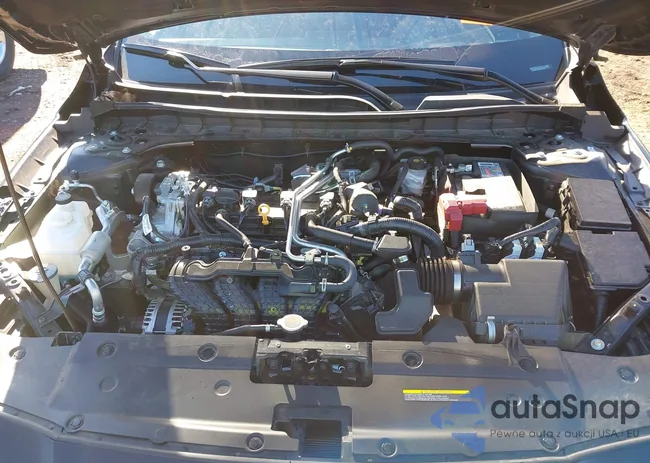 1N4BL4DV5SN401665: 44184456