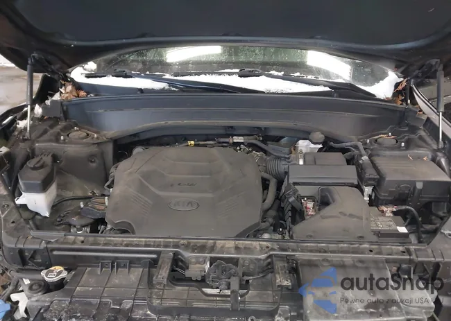 5XYP2DHC4LG012567: 44184479