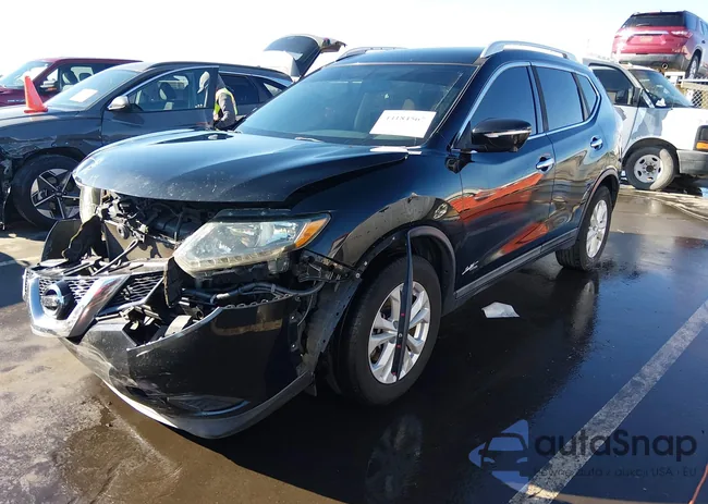 5N1AT2ML9FC870814: 44184567