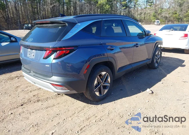 5NMJBCDE1SH565172: 44184736