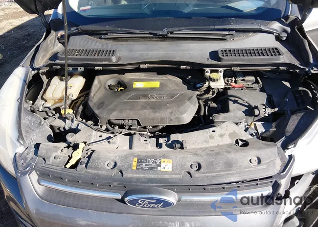 1FMCU0GX7DUB10042: 44184825