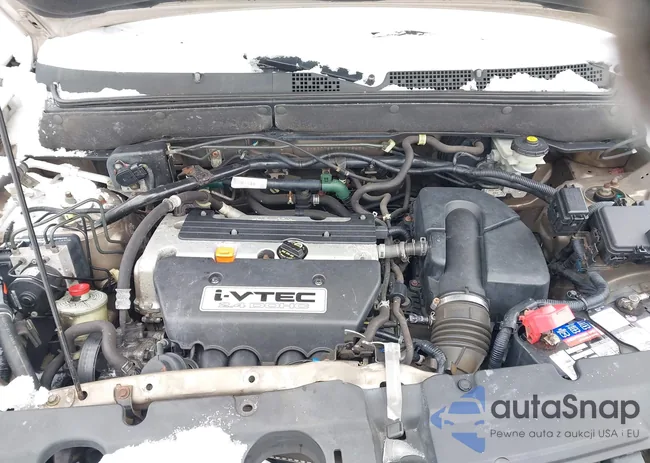 SHSRD78875U328497: 44184074