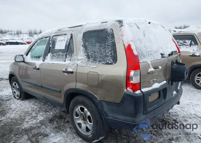 SHSRD78875U328497: 44184074