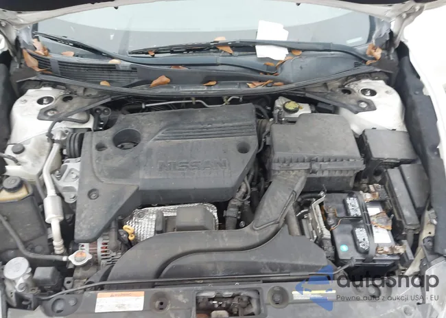 1N4AL3AP5JC215176: 44184180