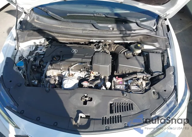 19UDE2F74KA004019: 44184286