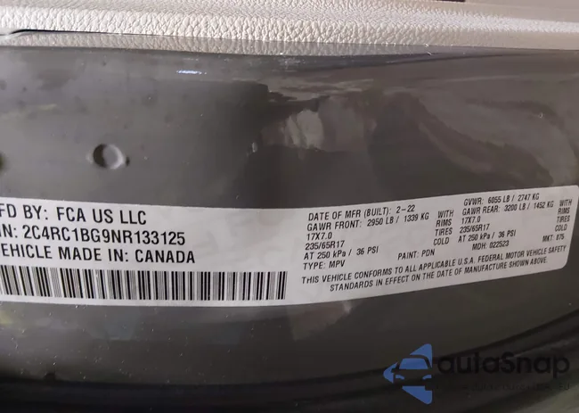 2C4RC1BG9NR133125: 44184300