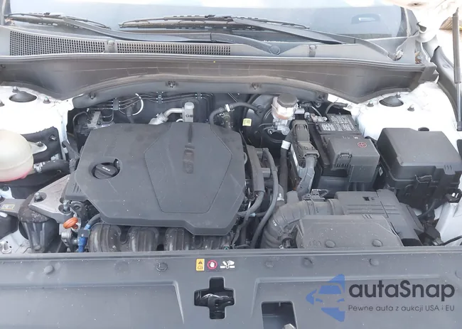 5NMS24AJ4PH540821: 44184356