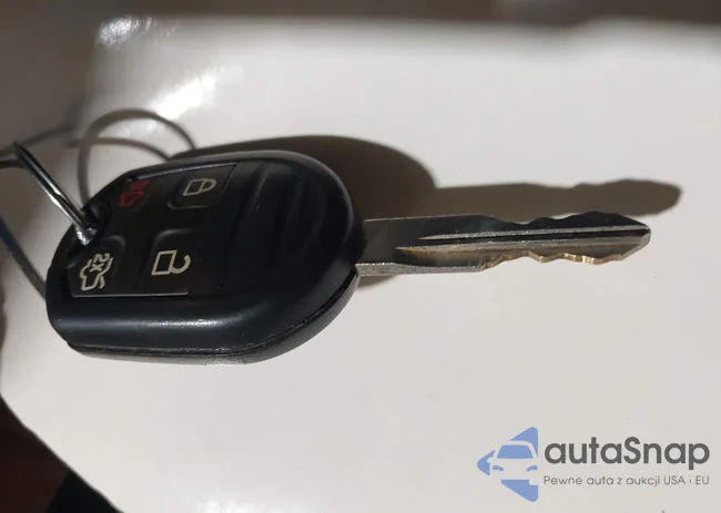 1ZVBP8AMXC5258292: 44184363