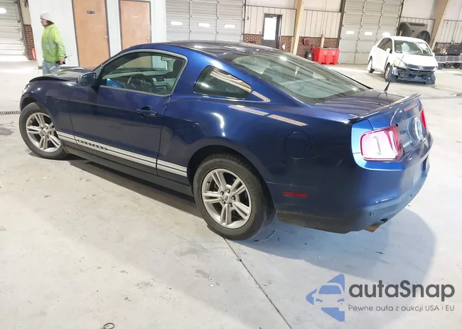 1ZVBP8AMXC5258292: 44184363