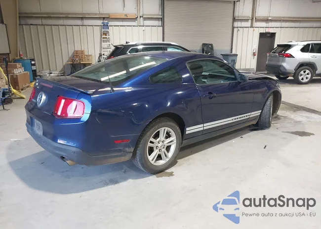 1ZVBP8AMXC5258292: 44184363