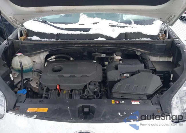 KNDP6CAC9L7707083: 44185416