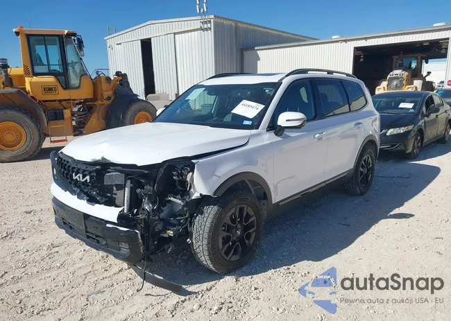 5XYP5DGC5RG496184: 44185474