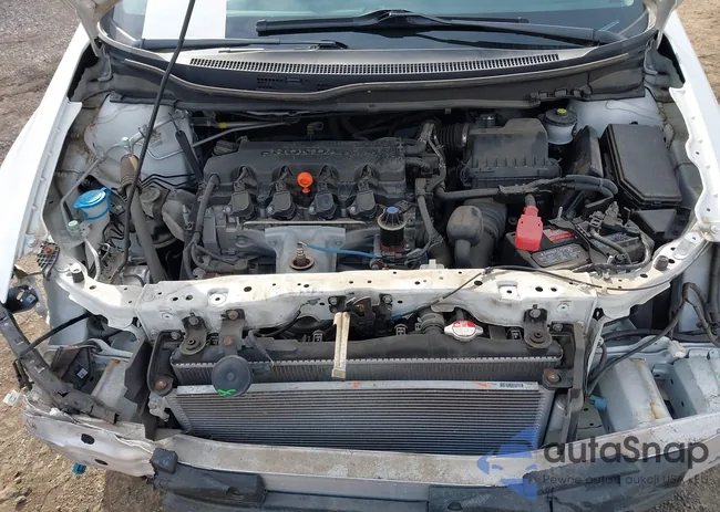 19XFB2F5XFE218563: 44185546