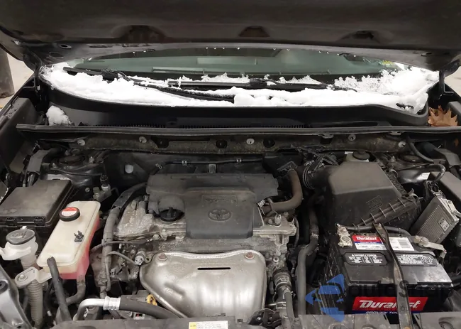 JTMRFREV5GD191111: 44185565