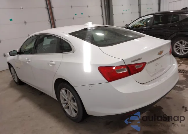 1G1ZD5ST1JF241816: 44185582