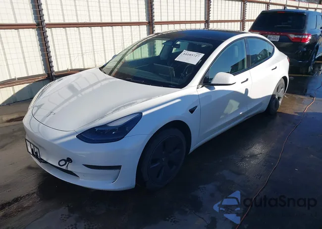 5YJ3E1EAXPF606990: 44185727