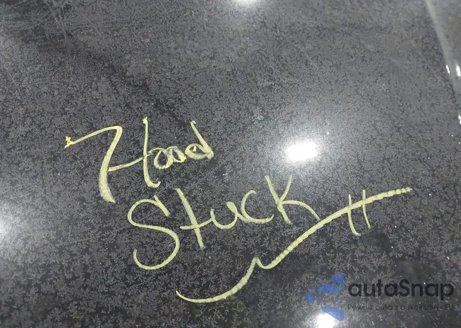 WBA4C9C51GG141064: 44185956