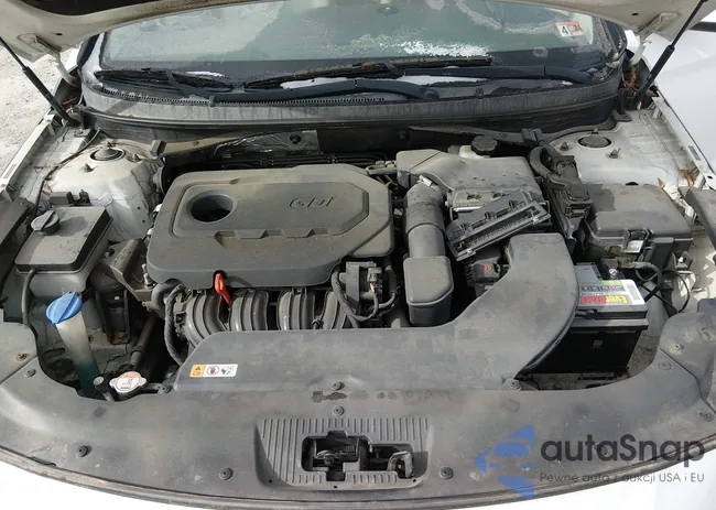 5NPE24AF2FH024225: 44185011