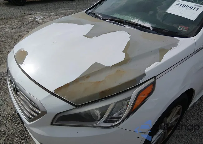 5NPE24AF2FH024225: 44185011