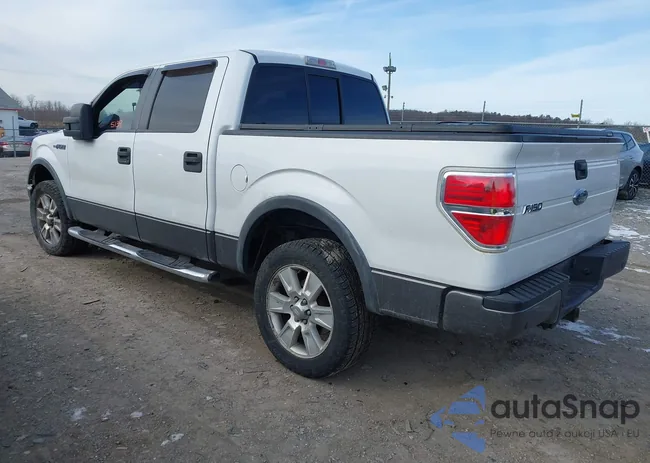 1FTPW14V89FA04073: 44185139