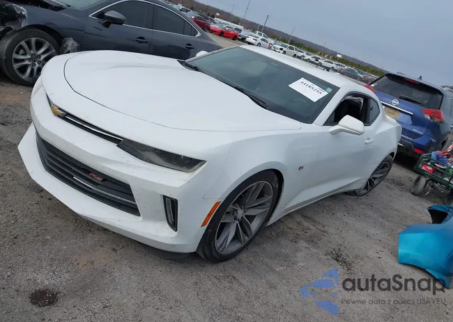 1G1FB1RS4H0135162: 44185255