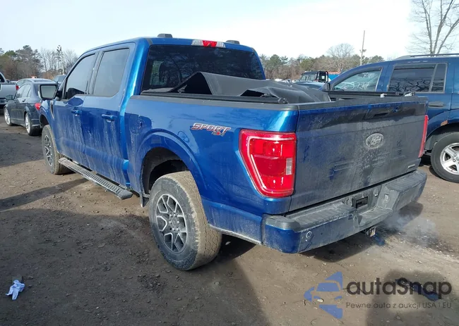 1FTEW1EPXNFA45435: 44185303