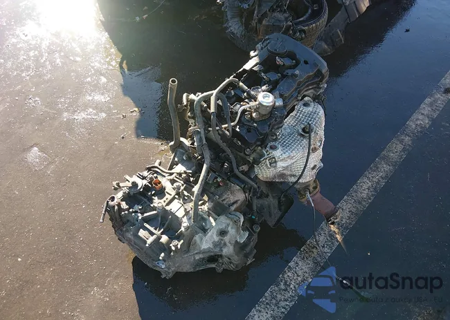 KNDPB3AC5G7838366: 44185374