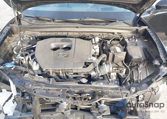 3MVDMBDMXRM621916: 44186538