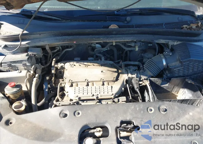 5FNRL38457B403202: 44186771