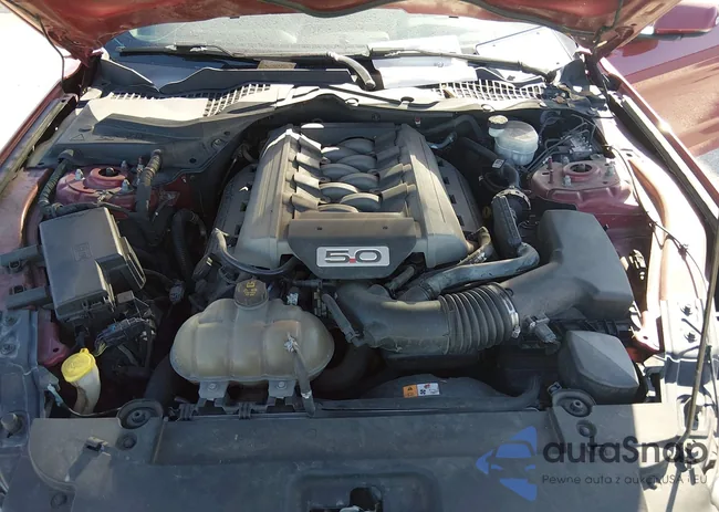 1FA6P8CF3G5306486: 44186924