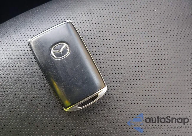 JM1BPAML7M1334170: 44186042