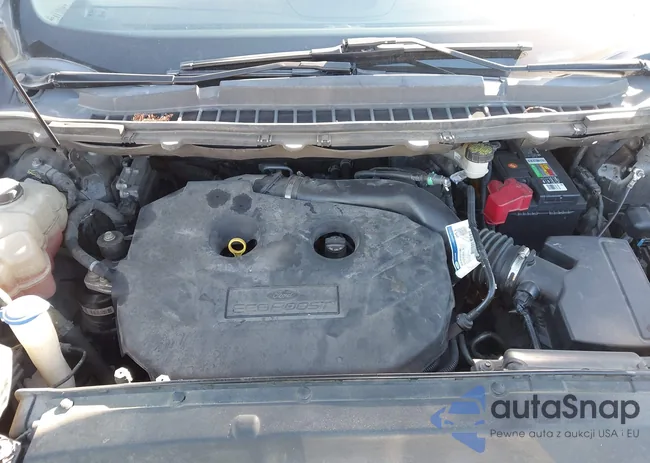 2FMPK3K92HBB17381: 44186062