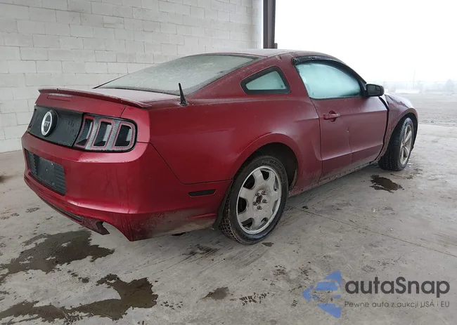 1ZVBP8CF0E5206204: 44186144