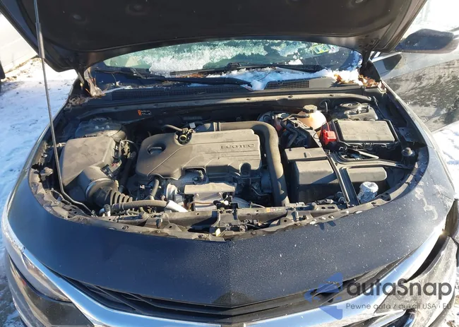 1G1ZD5ST4MF011384: 44187709