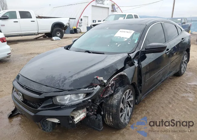 19XFC2F89HE026447: 44187022